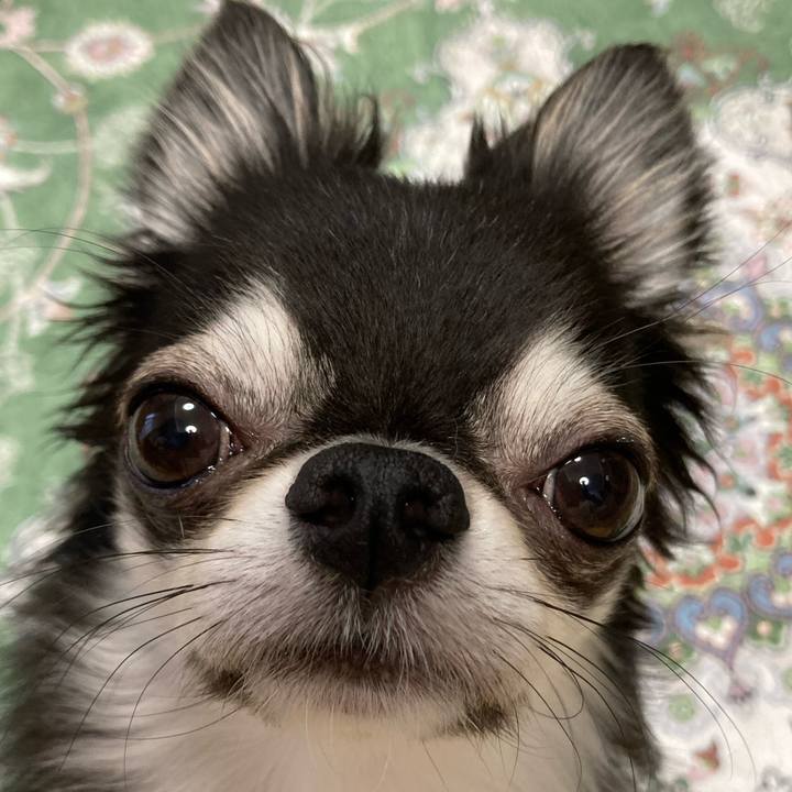 5f1b92c9 b49f 4532 8f08 30353df1e3d1 1663883845198