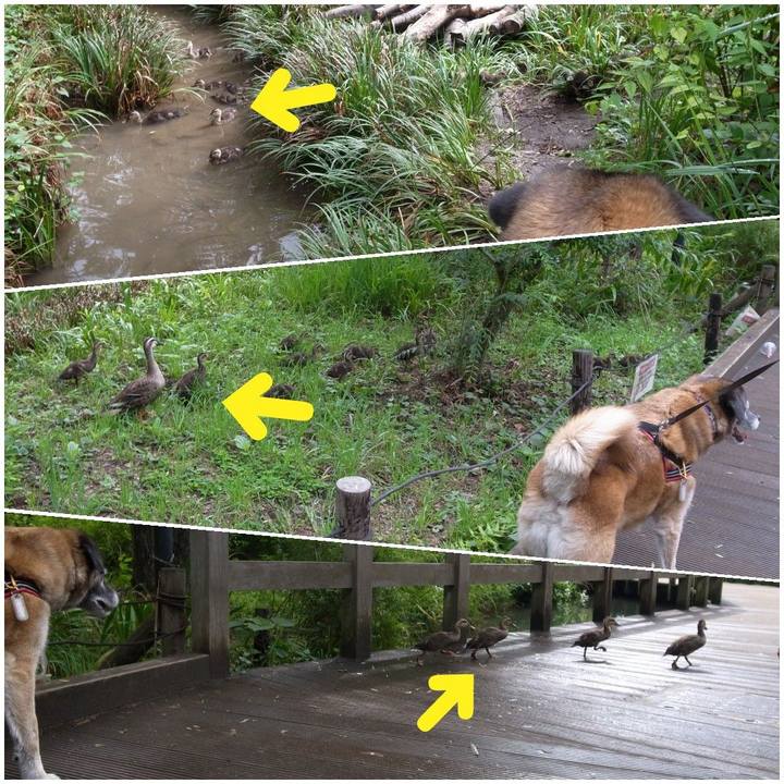 5f1b9523 88fa 48de adf0 5a5b324a25be 1610410030572