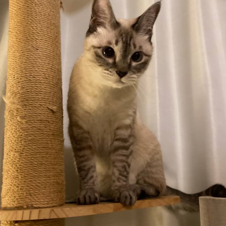 5f1bfb96 65b5 42cb abec b74cf029bcbf 1696559548562