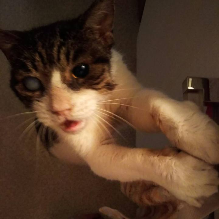 5f1c29e9 3dc5 4280 9497 17387ca4e143 1564199834231