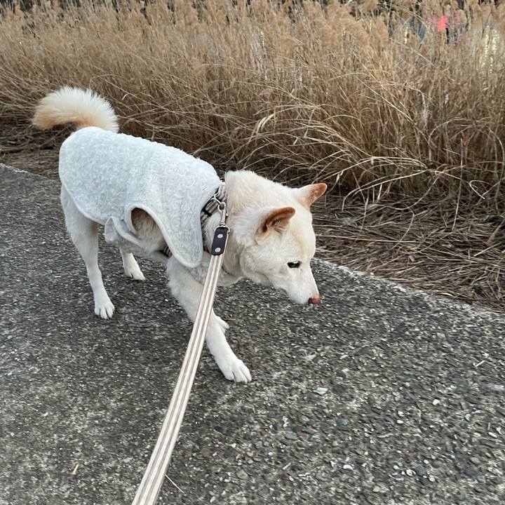 5f1c3f04 5c5b 4296 a0ef fa5aa4c70495 1641716756714