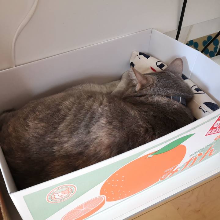 5f1c58d7 85c2 4ed3 83b1 14de25b88725 1593058275435