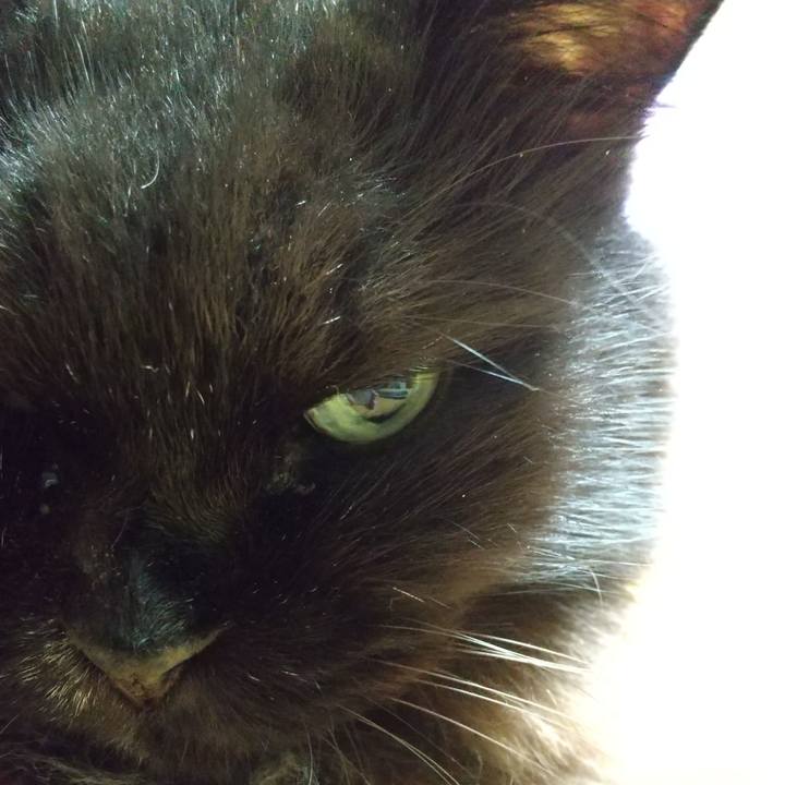 5f1cb51c 62eb 46e4 8a88 7c686caa0dd8 1662643076101