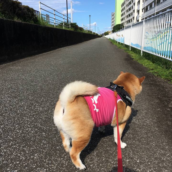 5f1ceb93 60c7 4060 a6a9 b8409e85e9c4 1596268597292