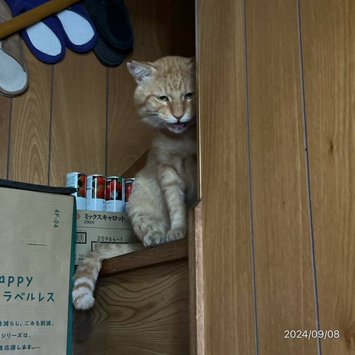 5f1cf58d 30db 41fa a3d9 73f8259877c8 1725833126378