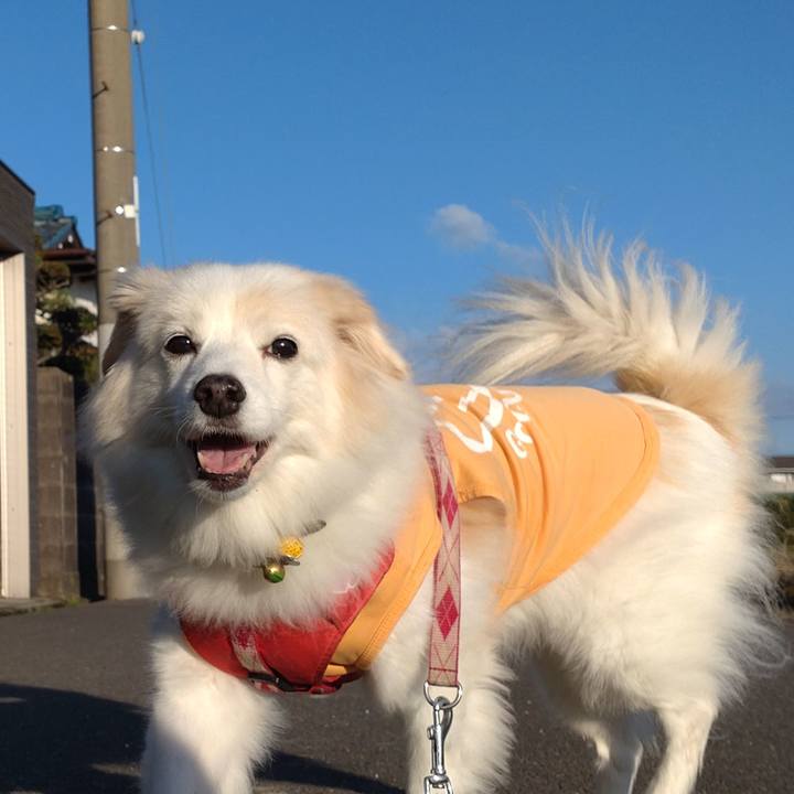 5f1d0aed c9e5 4bda ade9 d875cdaf2a1c 1667689125896