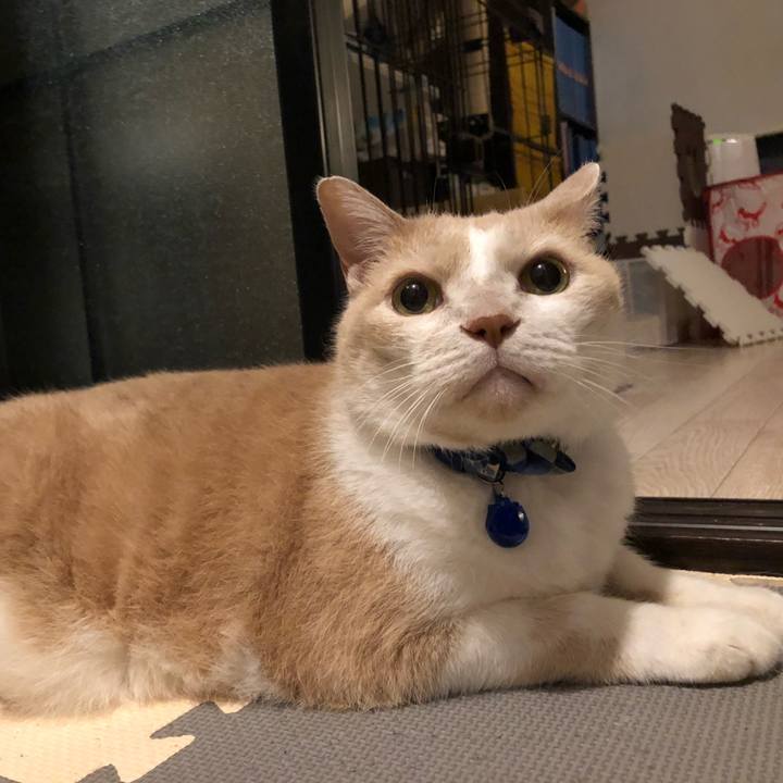 5f1d1184 7ac5 48b7 853e 074a8947db00 1569469284601