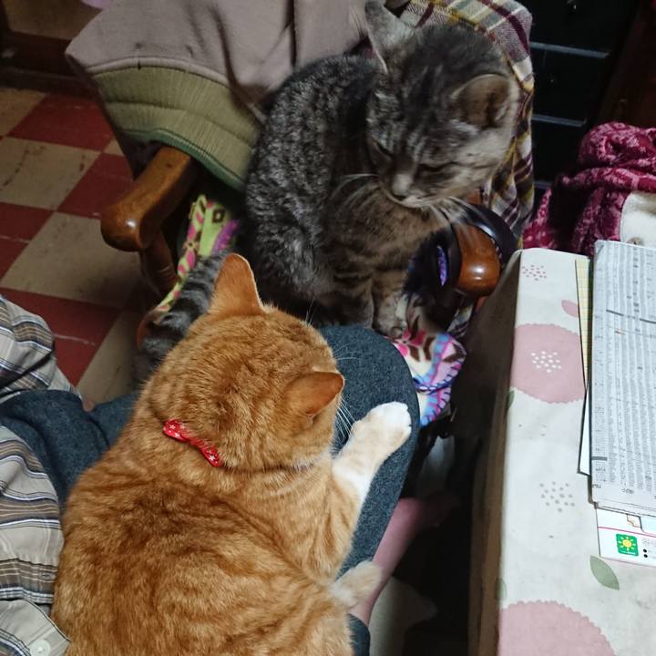 5f1d3a1e c103 4045 ab9e b20337d88df4 1577355448581