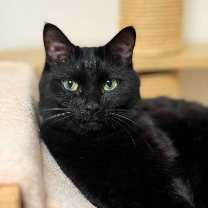 5f1d454e 9176 4ff5 8e24 97e8fb0f4378 1727422158473