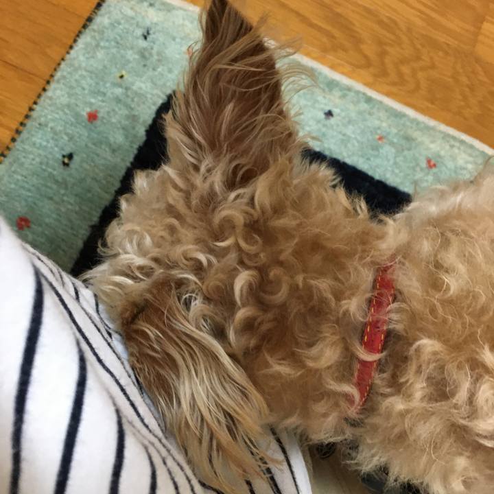 5f1d569b 53ca 4b36 850c 26e65e715aac 1622327967428