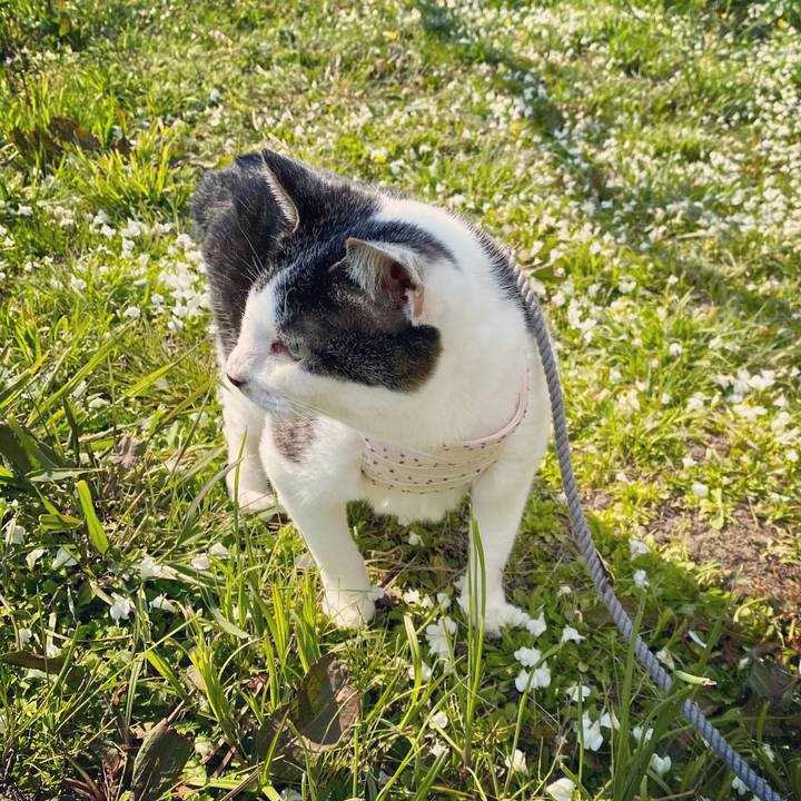 5f1d6d03 16b2 40d7 b2e5 ee7d33c03d0b 1586422902398