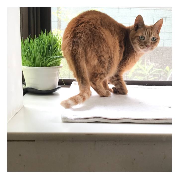 5f1d8103 5eff 4751 ba69 0beeef55d4b6 1655530047984