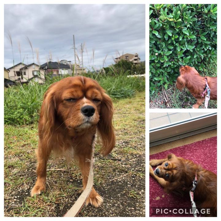 5f1d82f8 2fca 44c1 94e7 bb2bdbaf7f9c 1572068655556