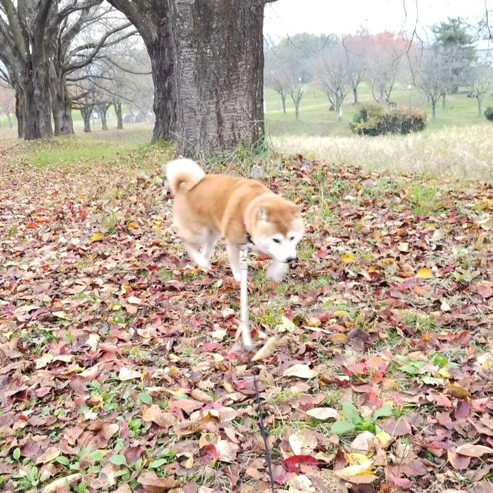 5f1d9abd 6b02 46fa aaa0 5ef771168979 1635837805797