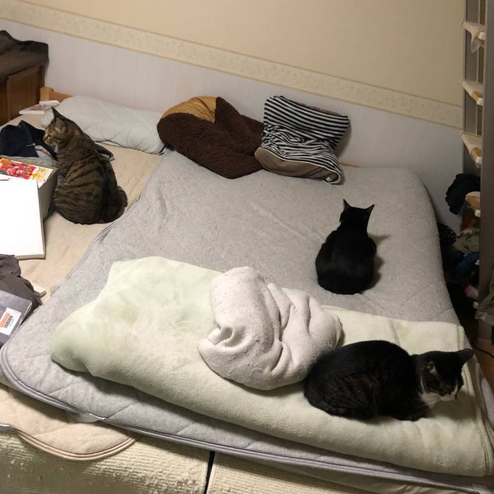 5f1dafa9 a7f1 4d6b a0e2 eb51e6823ea8 1634765455299