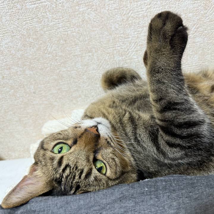 5f1db8e9 5ae6 4366 b131 316f115dc8f1 1758816032863