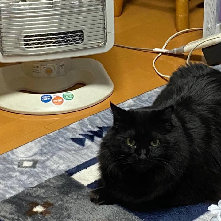 5f1dcc08 d7b6 48e8 a059 7b918cc815f3 1607852721859