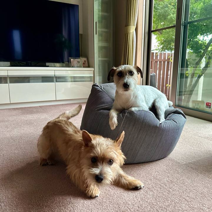 5f1dd8c4 3222 4bb6 8abe 257943e8b814 1719133617906