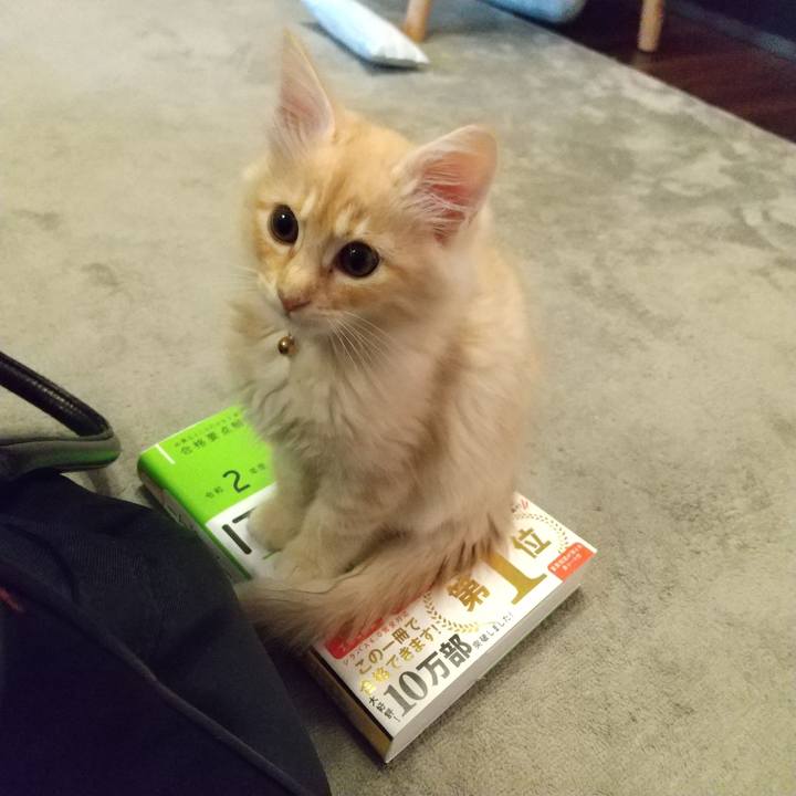 5f1e1cab 31e4 45e4 ac2e e44068a5471d 1604525532533