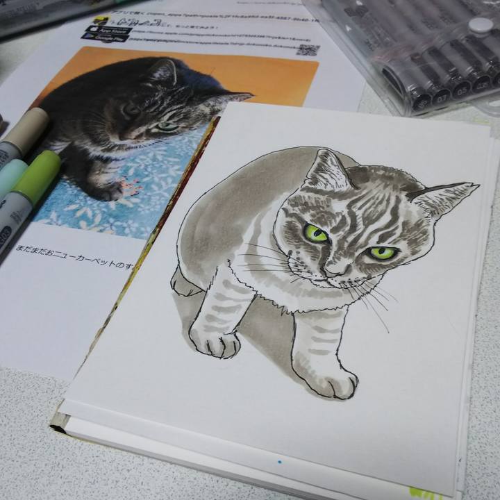 5f1e54b7 ea3a 48ed 88f4 f13b22f5b468 1549716878029