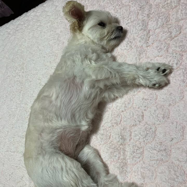 5f1e85b4 acf7 4068 a5f9 3428c748c304 1633702020432