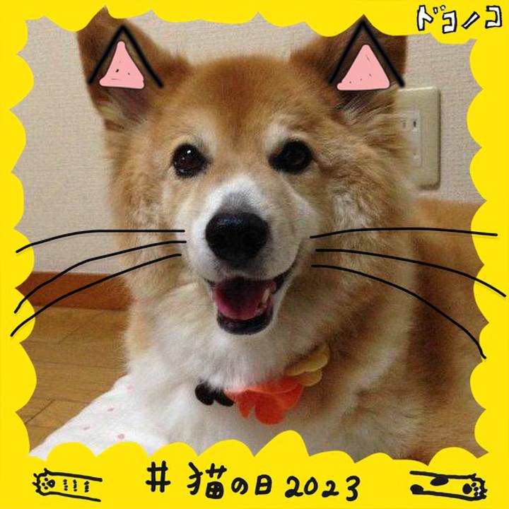 5f1e8cb9 b65d 440b aa70 c9df95a5996c 1677056608313