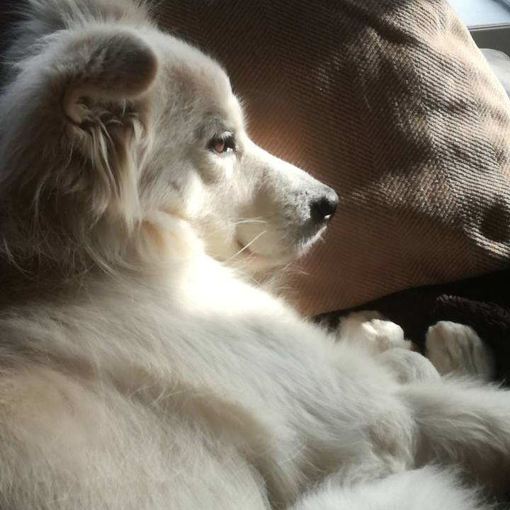 5f1e9f21 5644 40ba 9a38 54021c24b7ff 1514351705053