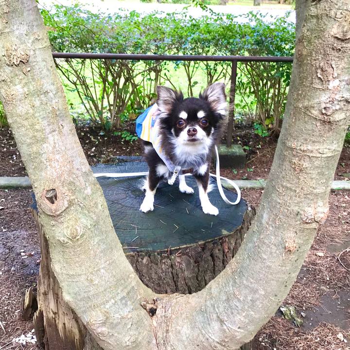 5f1ec815 c3ef 42f7 af11 bd799c9fc136 1602830555554