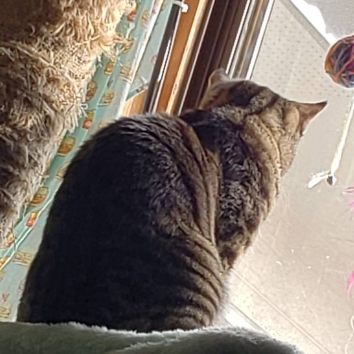 5f1ef3a5 330b 487c 8d40 c037620289f8 1548896185481