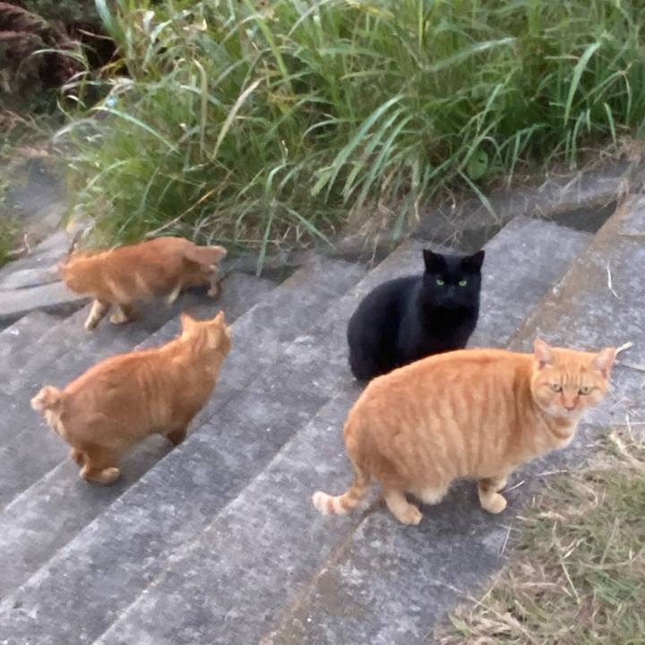 5f1f1318 2102 46d4 86ba 22fd726ea4bf 1669111394818