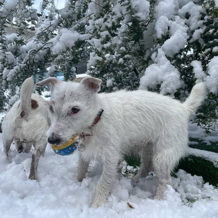 5f1f19f0 b7f0 4d3e 8e97 de69f2b60ed7 1766800597218