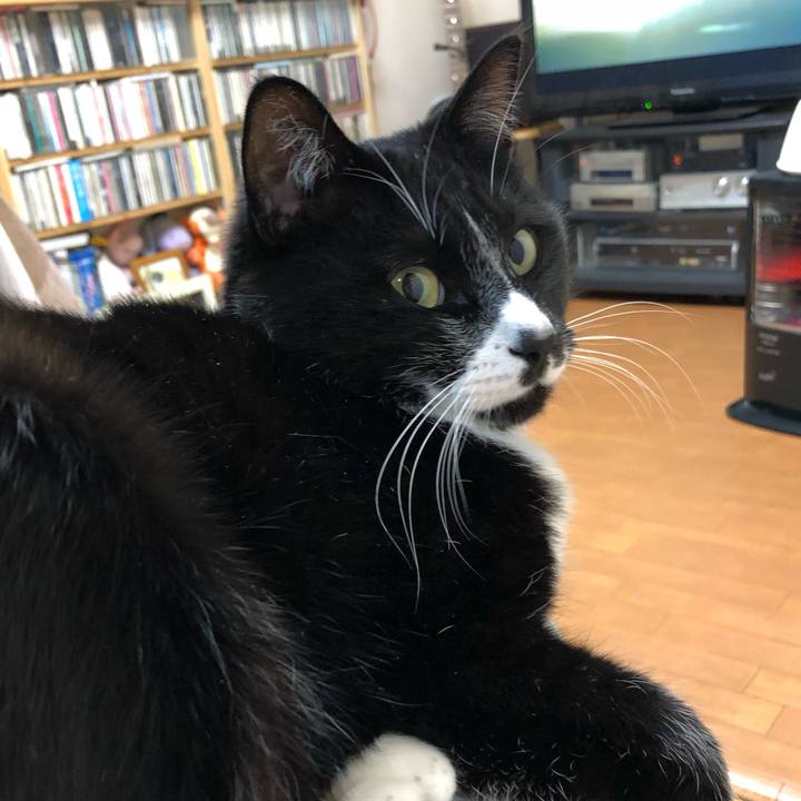 5f1f512e d664 468f 863f ff5face4b508 1581306160078