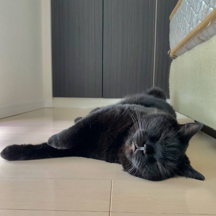 5f1f9eb6 e430 47d9 8925 4c1c2d4bbc5d 1625021055348