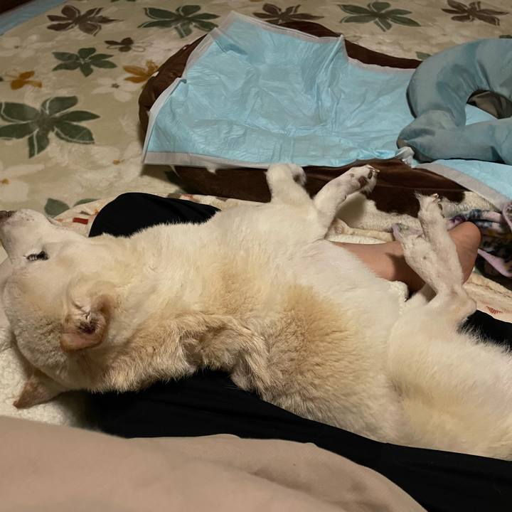 5f1fe55f 9abe 45da 9f02 87d8b34c4dbf 1675699926879