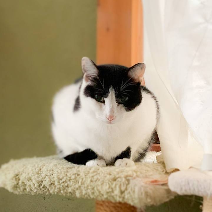 5f1feffb f833 45f8 93bb 7ffb4267893c 1576630342255