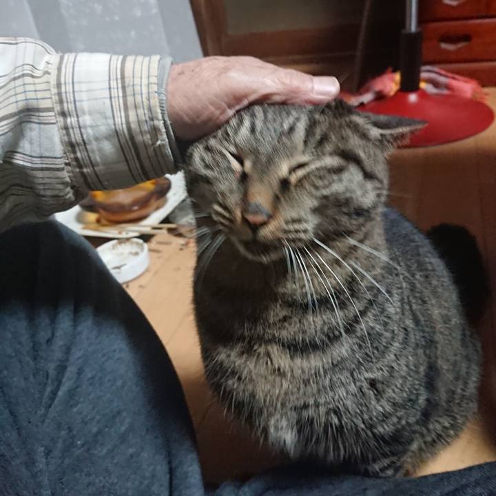 5f203db9 ef7e 4e79 82e7 104046428294 1639255851654