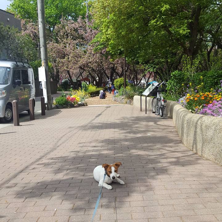 5f2048ab 8f1e 475a ab69 fb3e4cd9312e 1555808725151