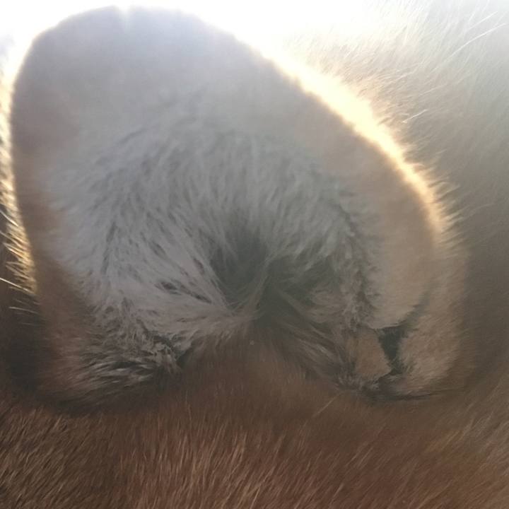 5f205de8 6621 4555 ac55 103ccb2a810e 1641513329444