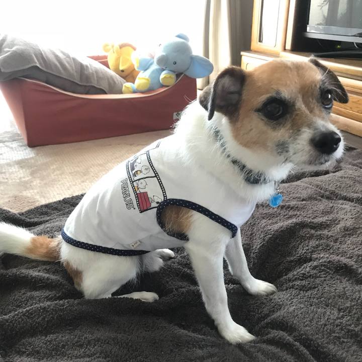 5f2072ad 08a1 4ac1 a14c cb1548d521d9 1533074888873