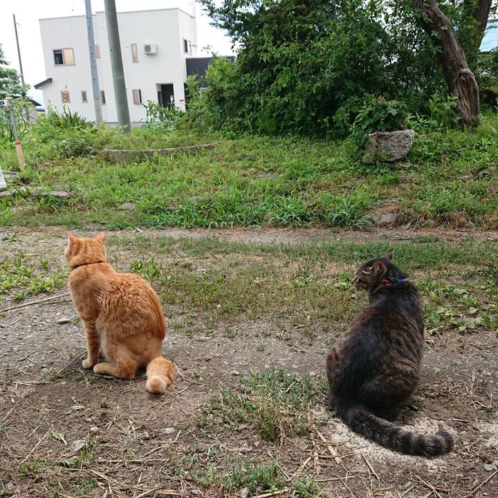 5f209eee 8cc8 44a4 a52d ed1d8094bdab 1657082231004