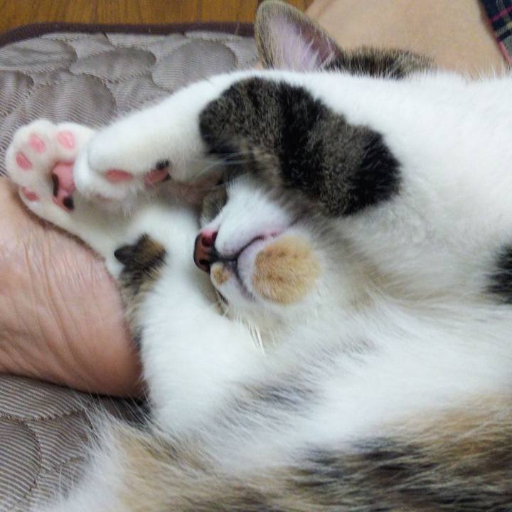 5f20debf 02e2 4cd5 ab62 7ca0e64cfb2b 1631962264651