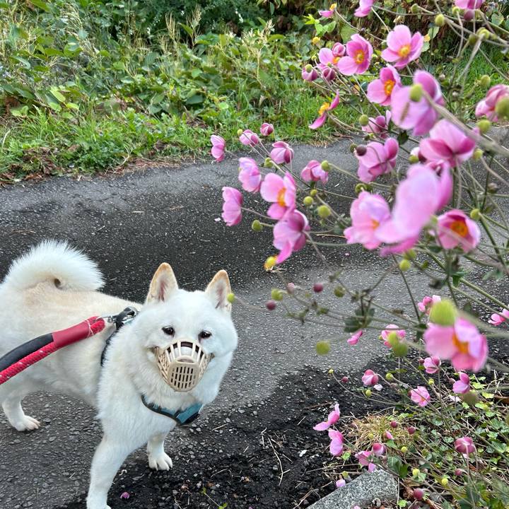 5f2154a6 ee2d 4478 a5ad e391066bd7ca 1728773697828