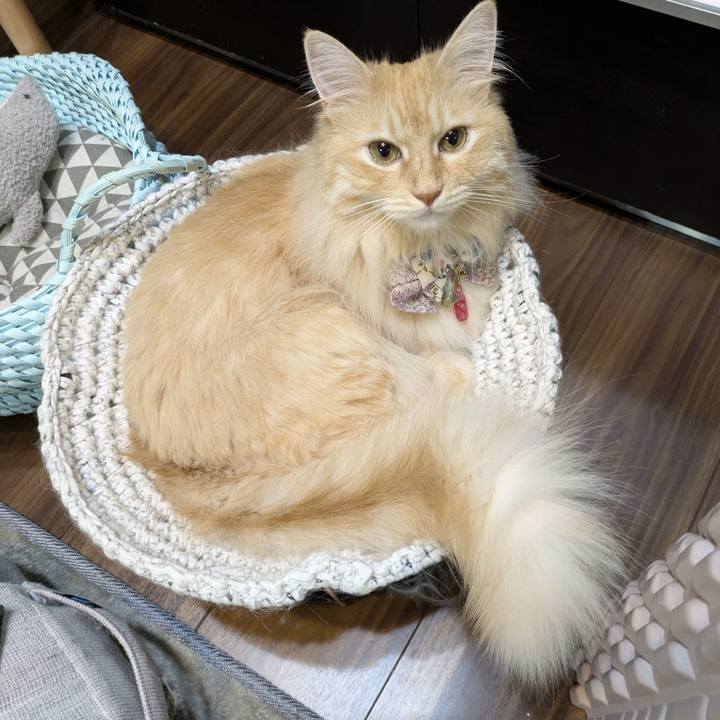 5f219c8e 9de8 49f7 9828 239eed86082a 1755526218521