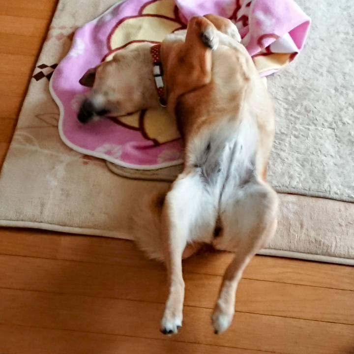 5f21b545 665d 43f5 a1e1 00263256f8ac 1686487735188