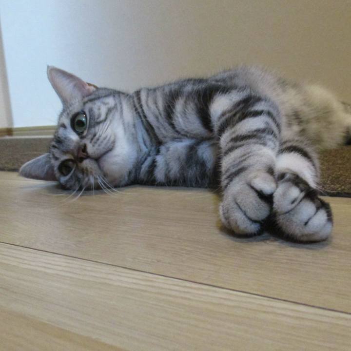 5f21d5ff d1e6 42c3 ac47 239972e6460b 1568286939071