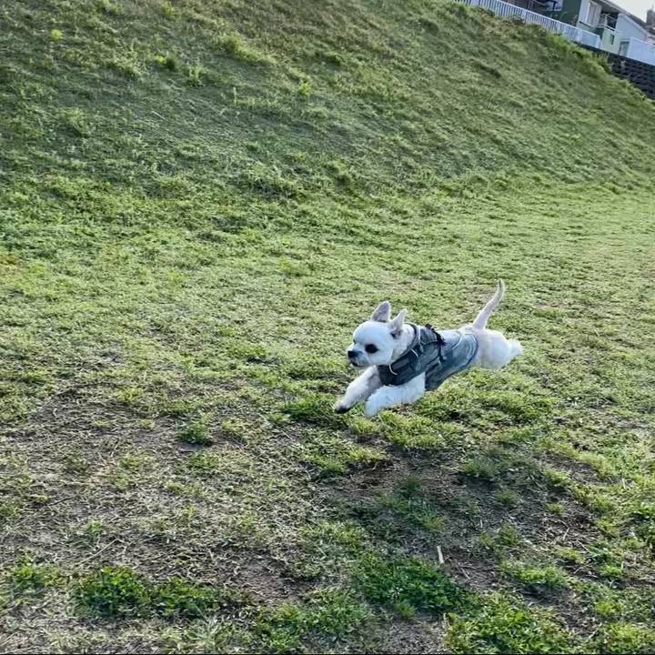 5f21e2f4 7359 4202 998d 2bae069ba1f4 1622122396203