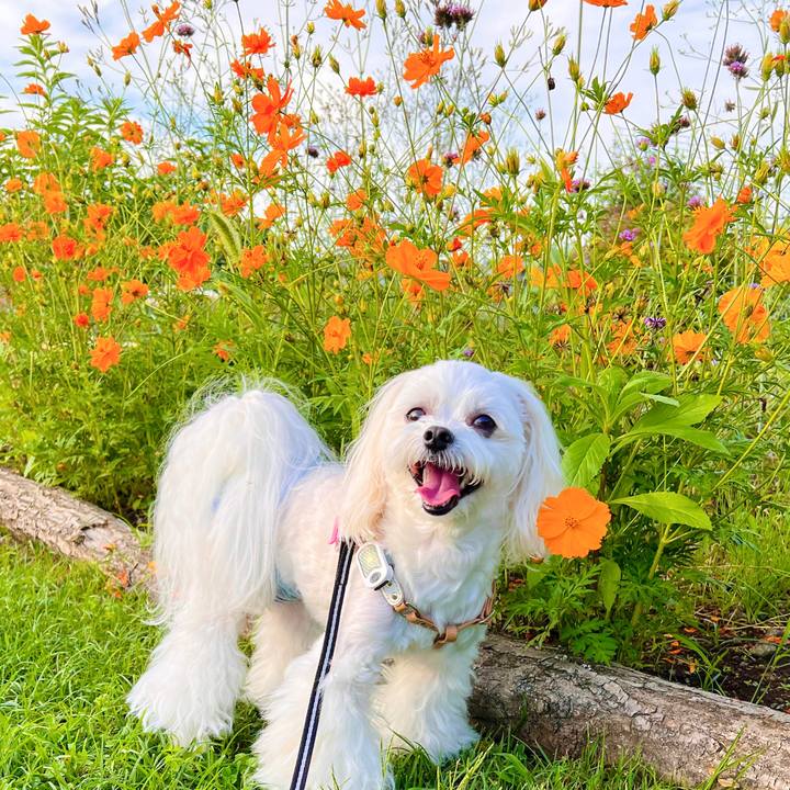 5f21e685 6d76 40da ad5b e69961b948e0 1689123911276