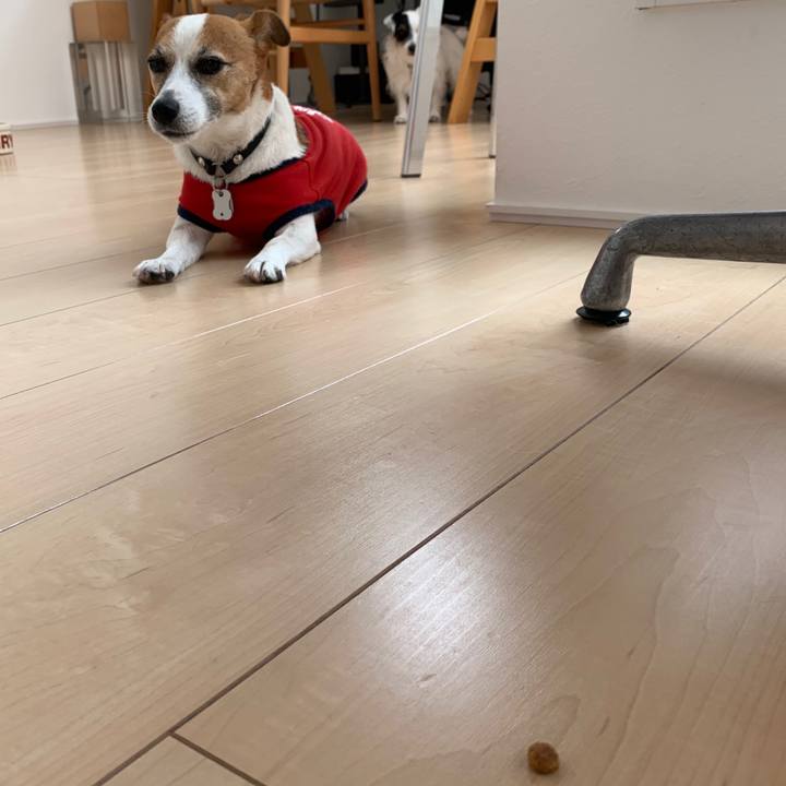 5f221296 0c1d 4e6e ae42 0edc74f74238 1596853383727