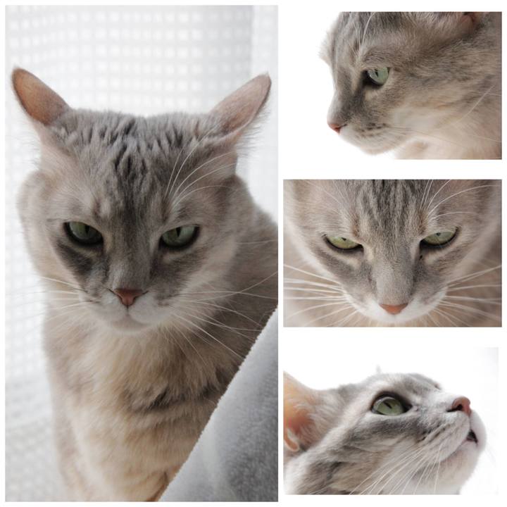 5f222fd6 9615 4f55 af43 22762f351e45 1642477316851