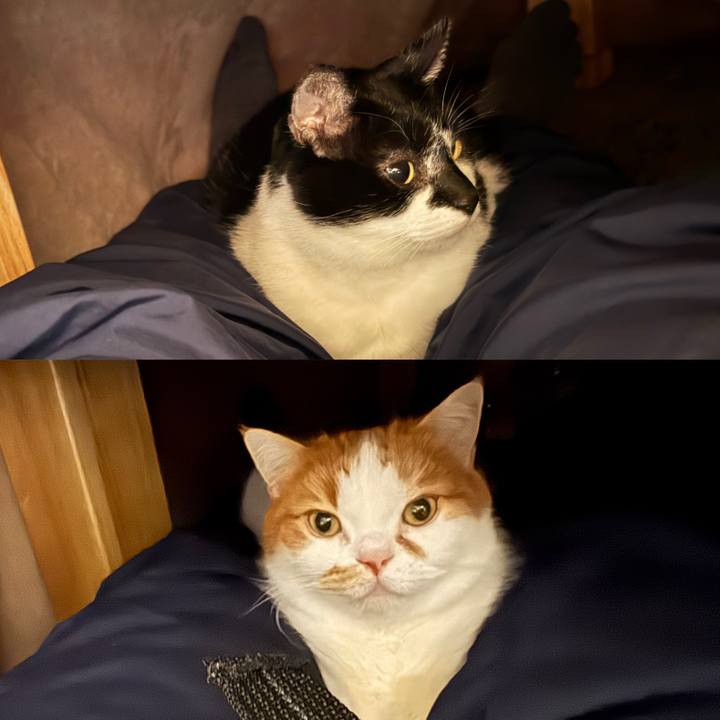 5f225115 cf97 43b5 b22f f794e8014d1e 1767781127214